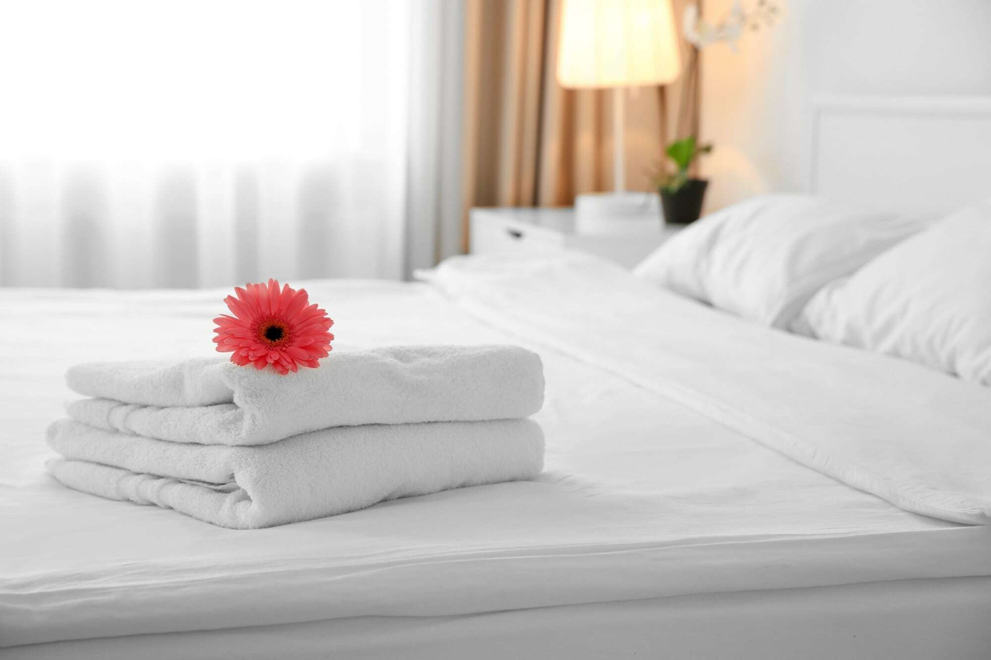Signature Suites Петербург Экстерьер фото